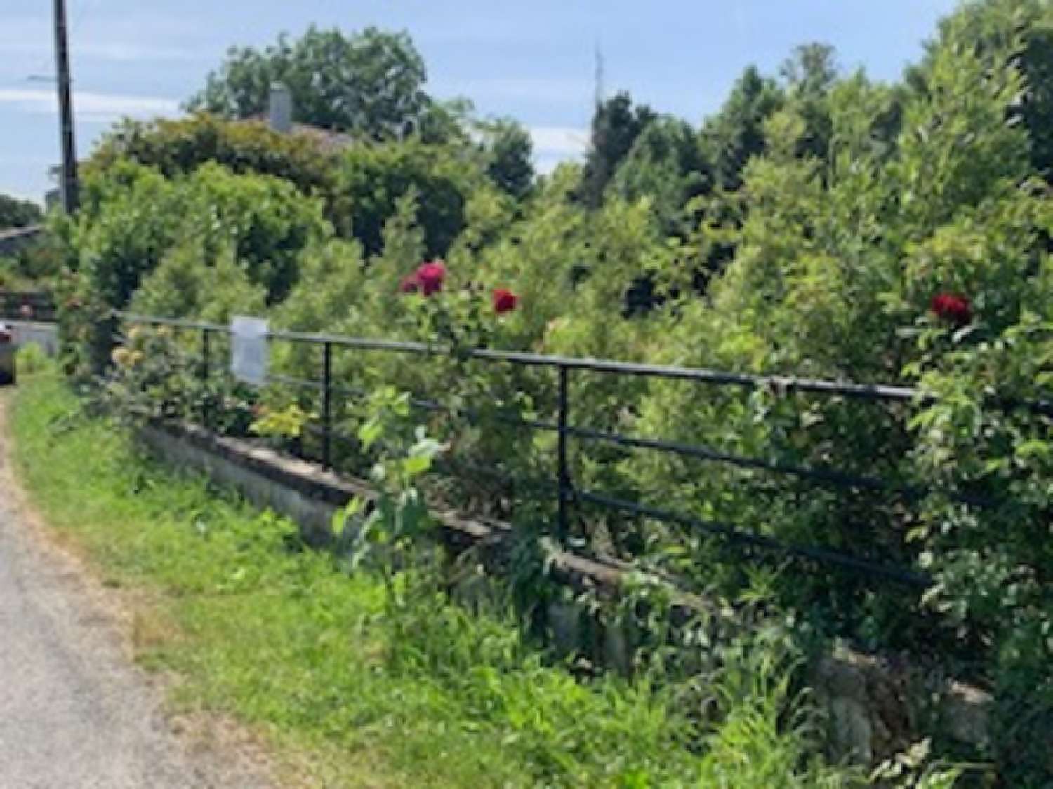for sale terrain La Laigne Charente-Maritime 2