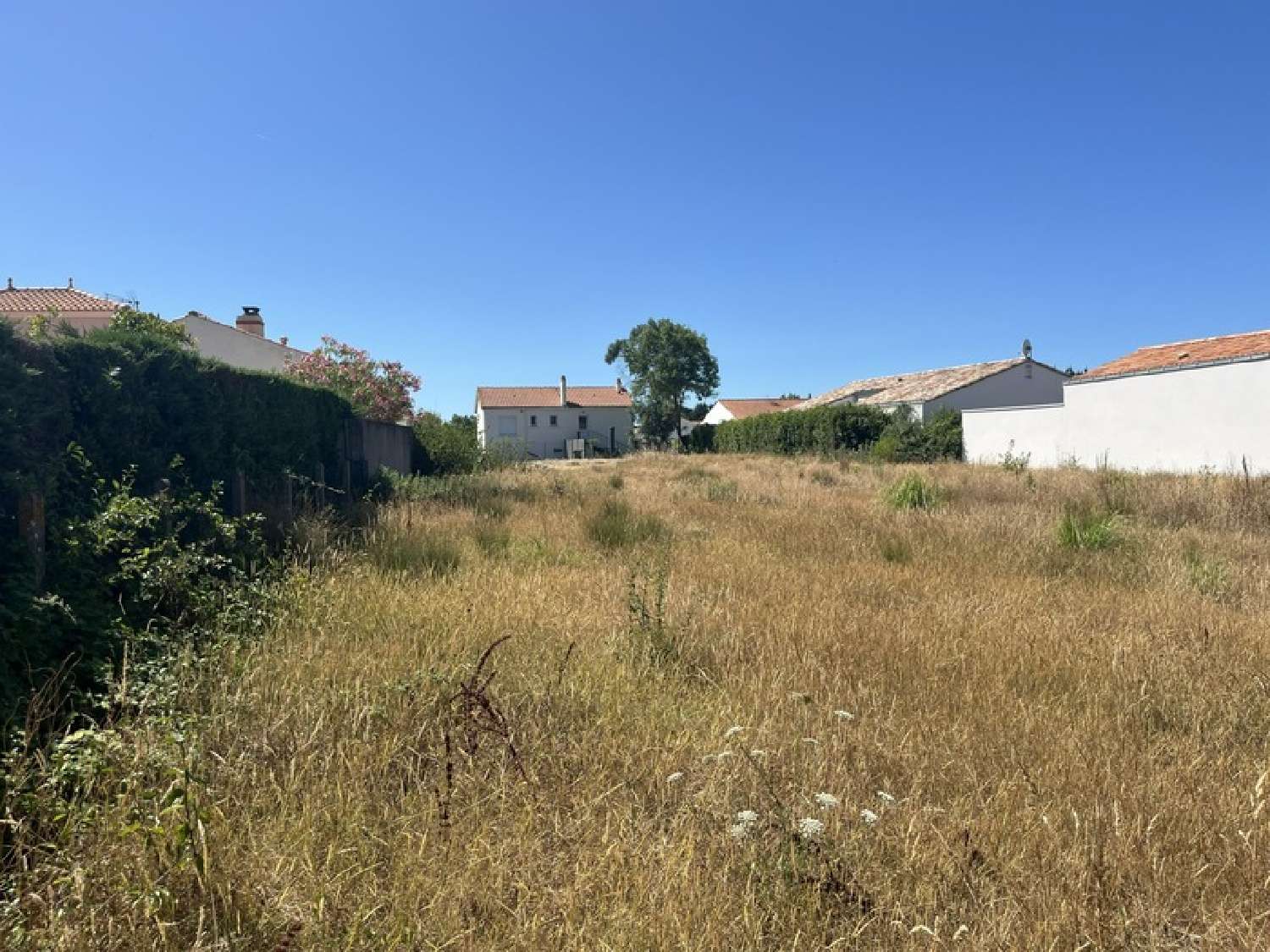 kaufen Grundstück Le Fenouiller Vendée 5