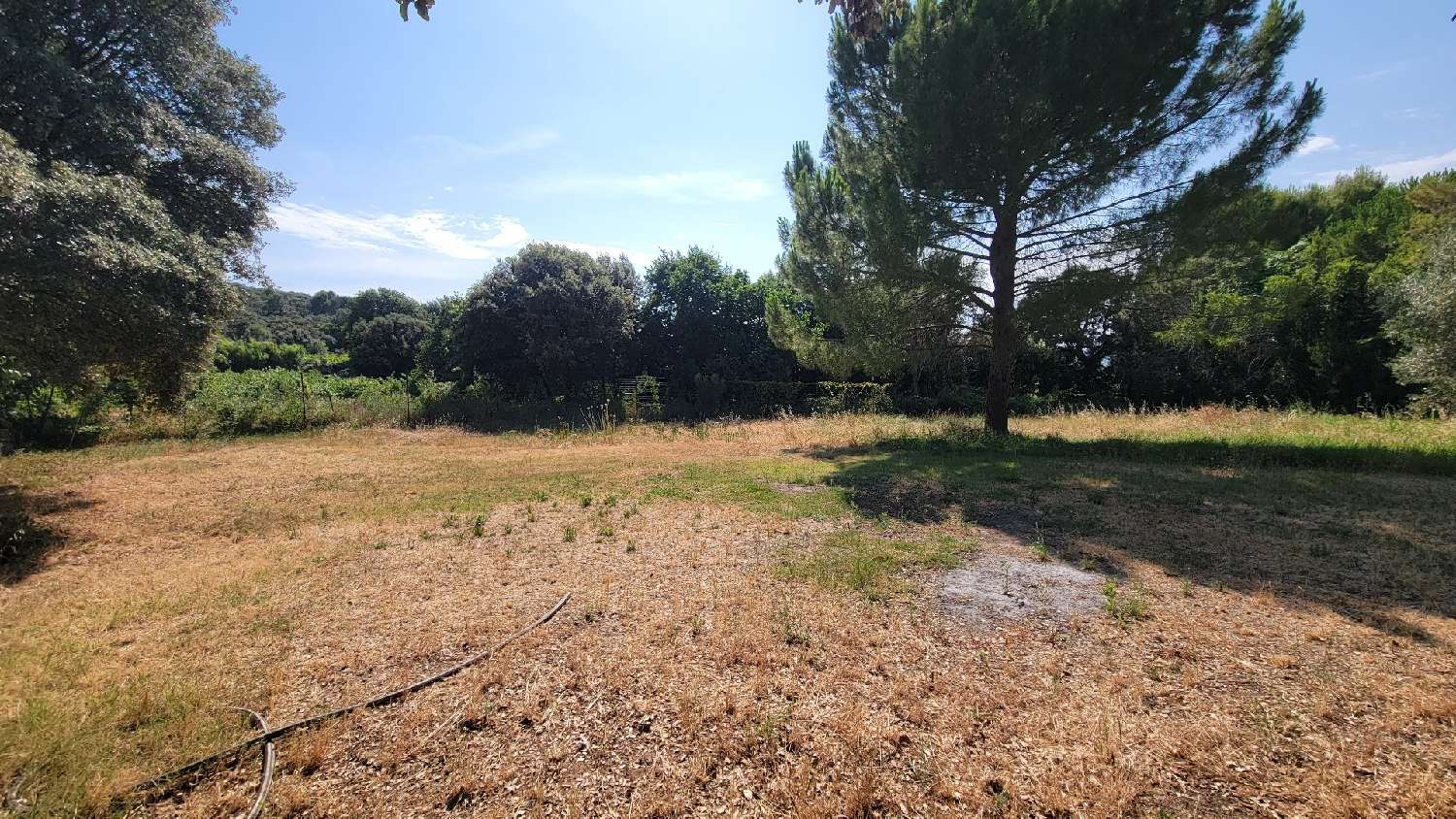  à vendre terrain Le Pouget Hérault 1