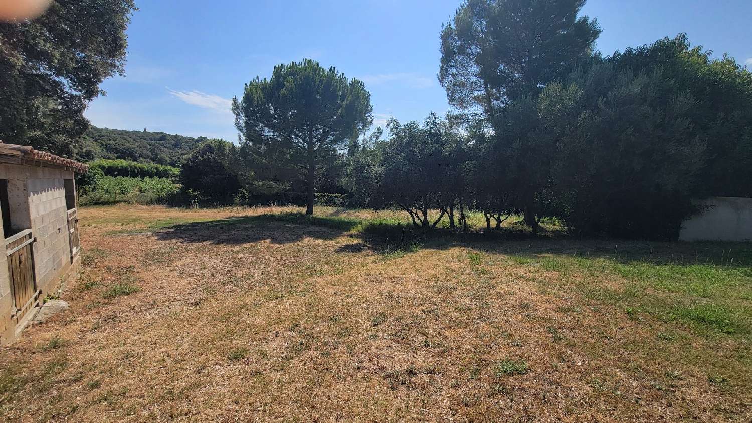  à vendre terrain Le Pouget Hérault 4
