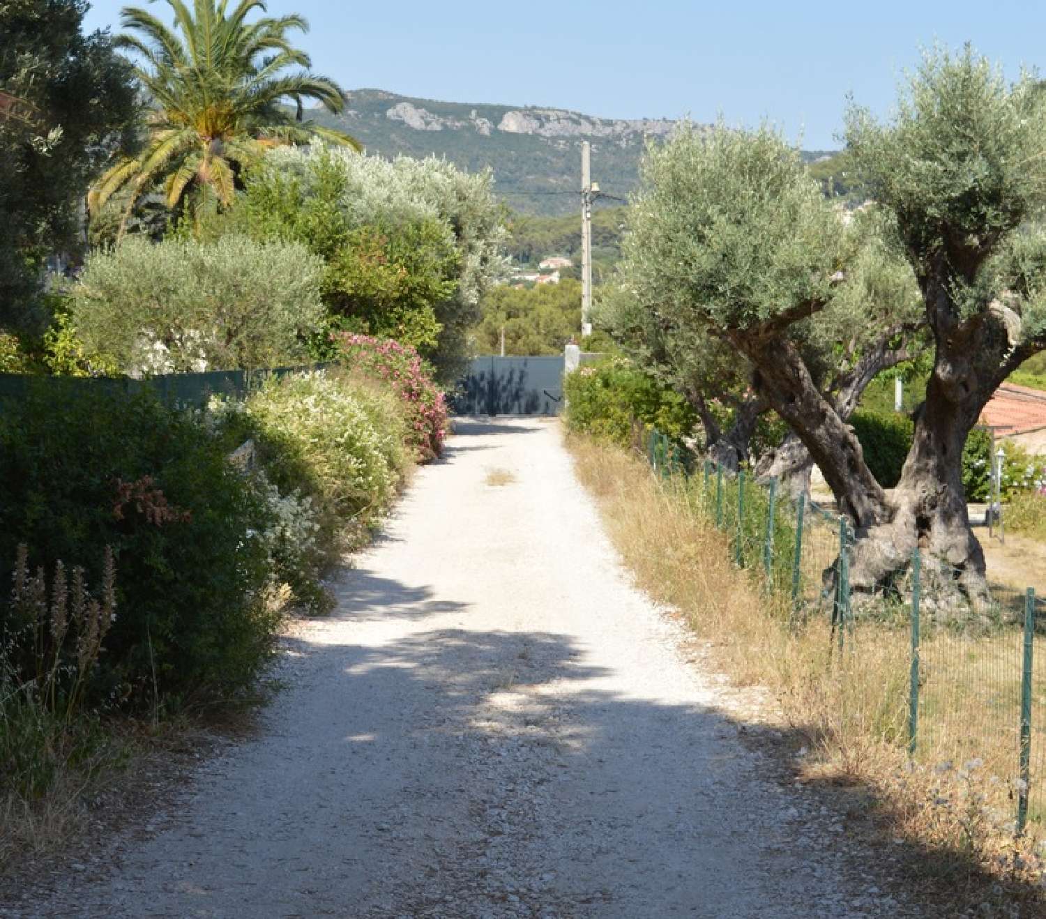 kaufen Grundstück Le Revest-les-Eaux Var 1