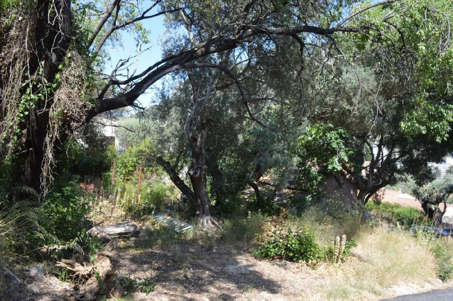 kaufen Grundstück Le Revest-les-Eaux Var 2