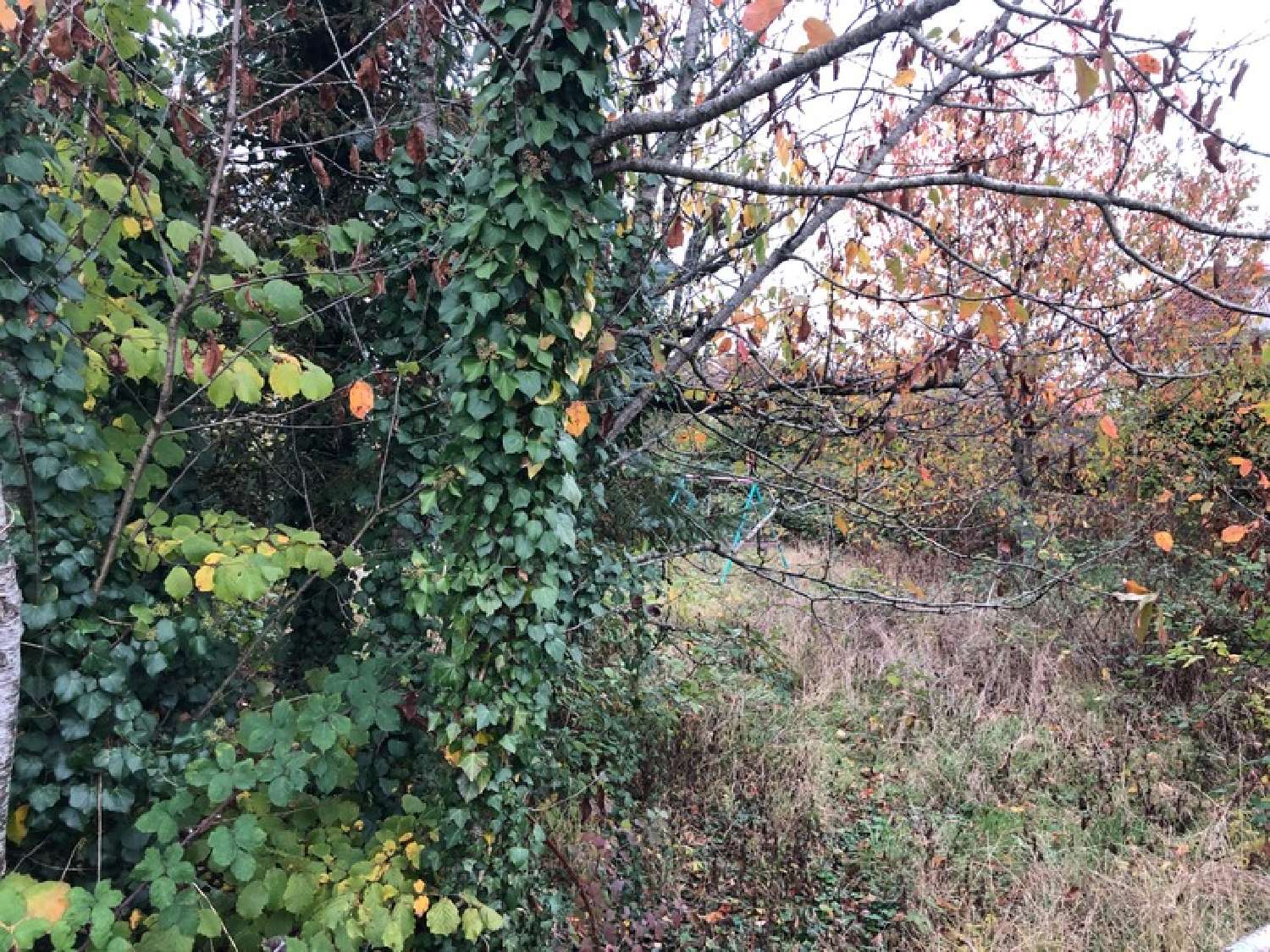 te koop terrein Longwy Meurthe-et-Moselle 1