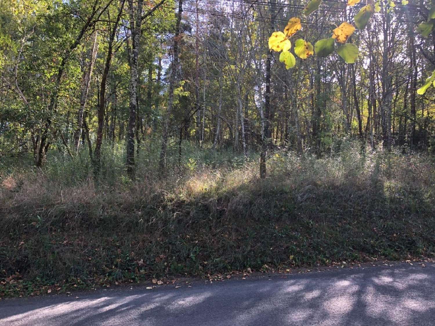 te koop terrein Luzech Lot 1