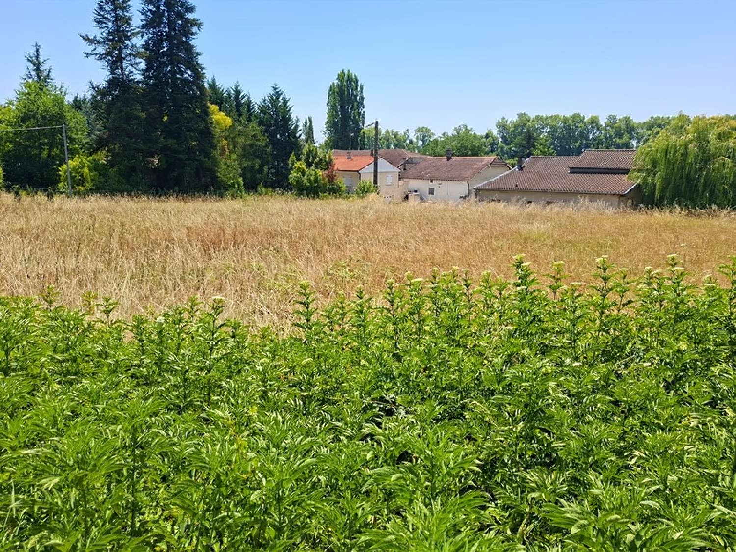  te koop terrein Malause Tarn-et-Garonne 3