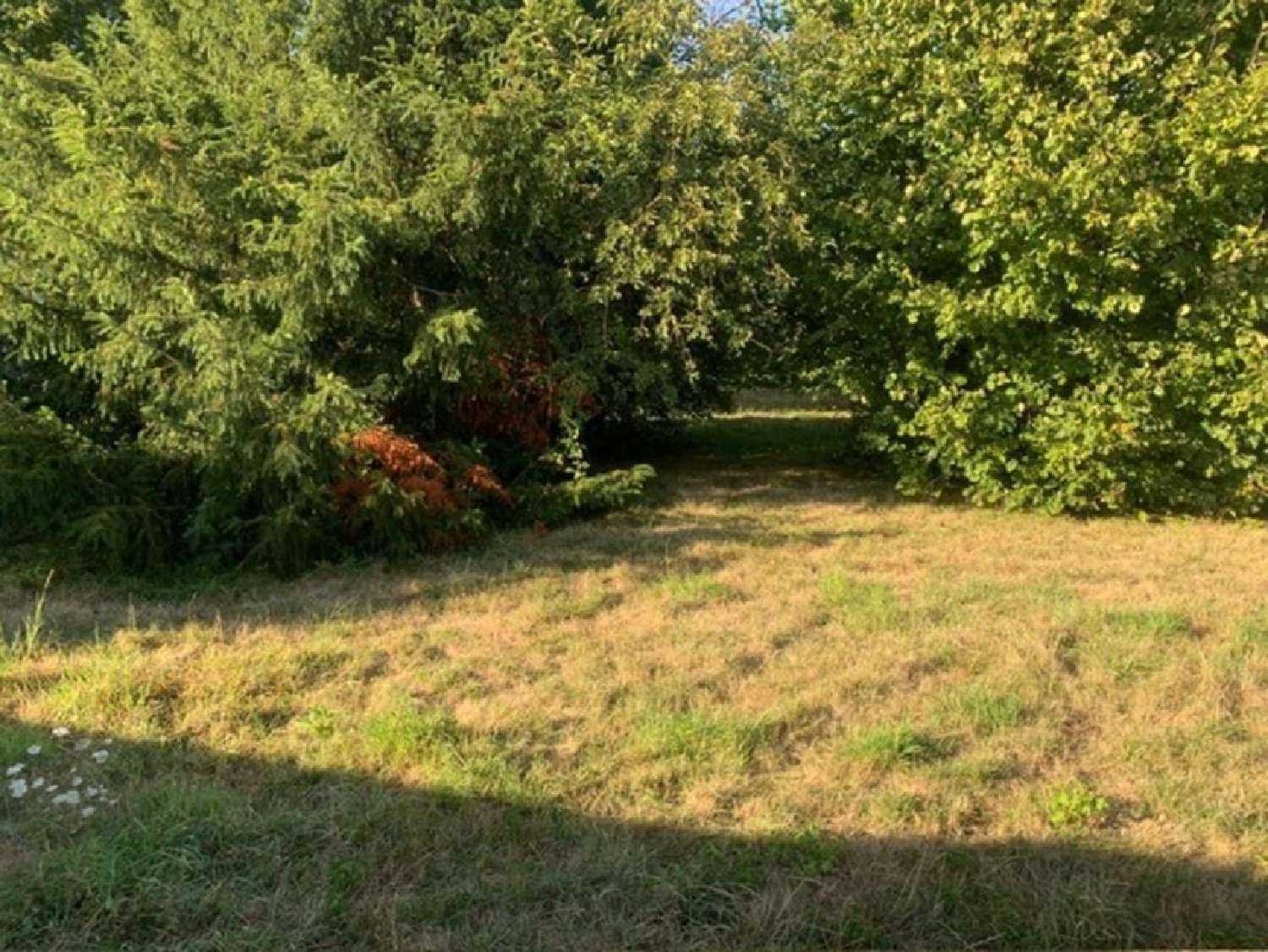 te koop terrein Meaux Seine-et-Marne 2