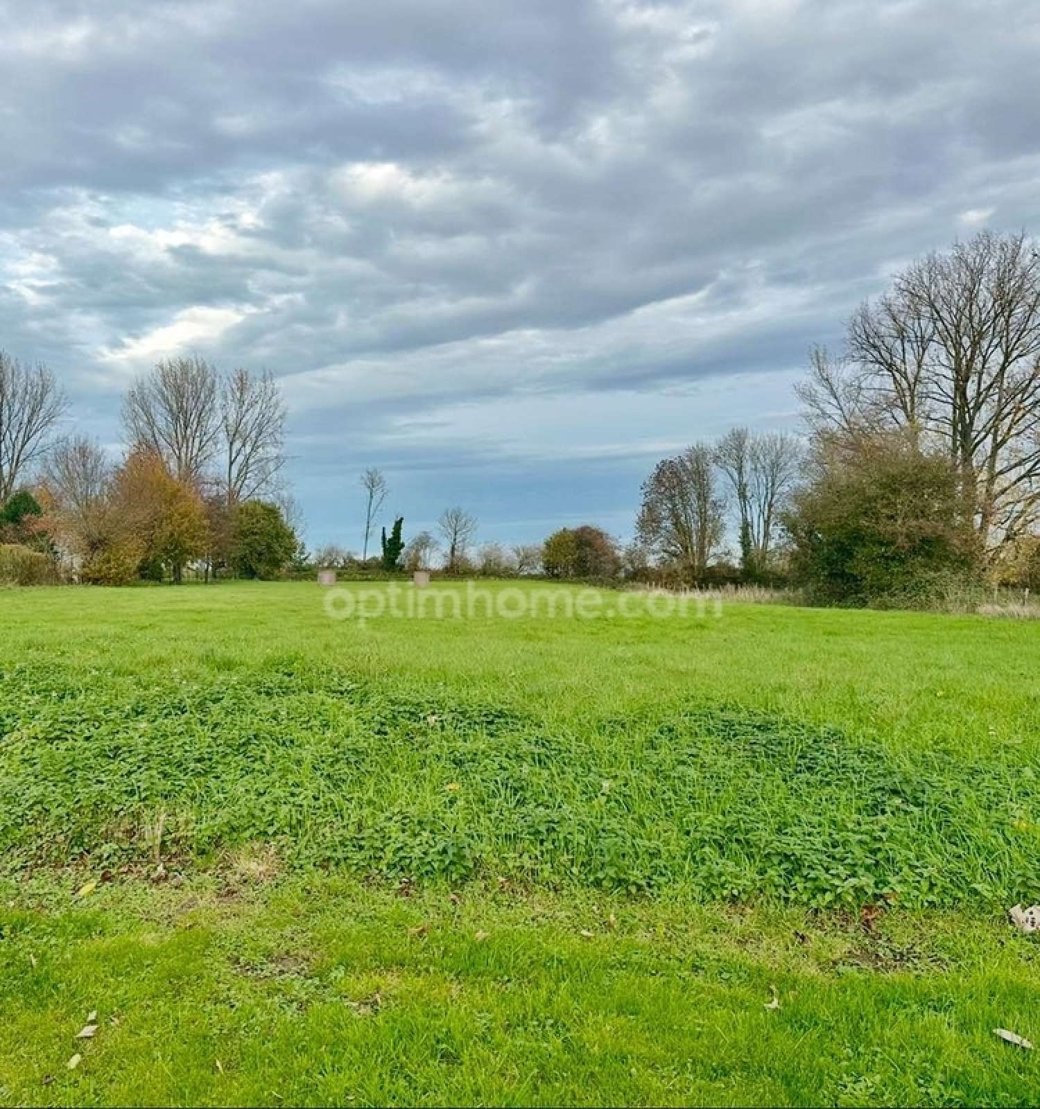 for sale terrain Monchy-Breton Pas-de-Calais 3
