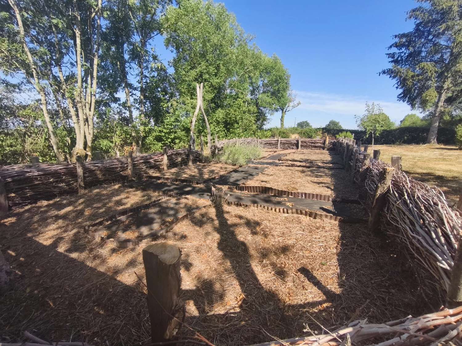  kaufen Grundstück Mont Saône-et-Loire 3