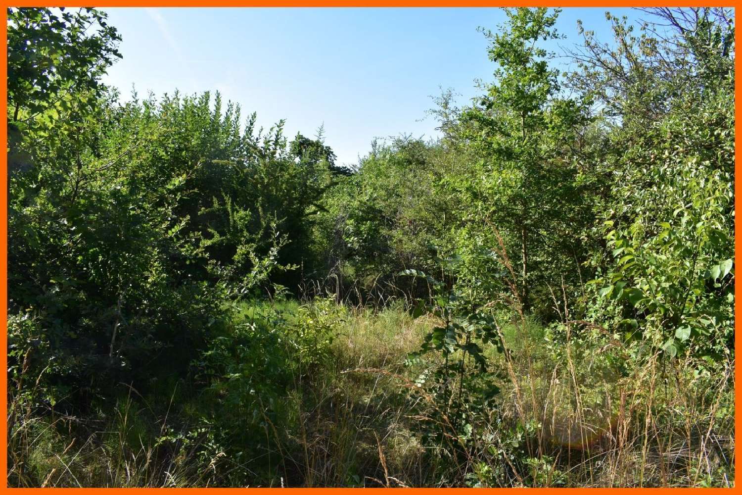 for sale terrain Montluel Ain 1