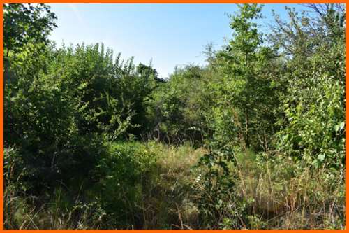 Montluel Ain terrain foto
