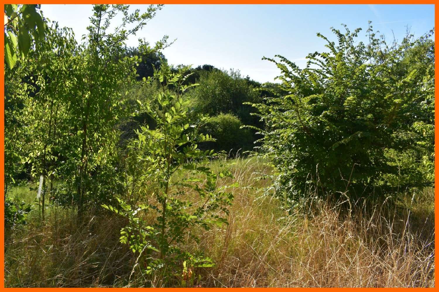 à vendre terrain Montluel Ain 2