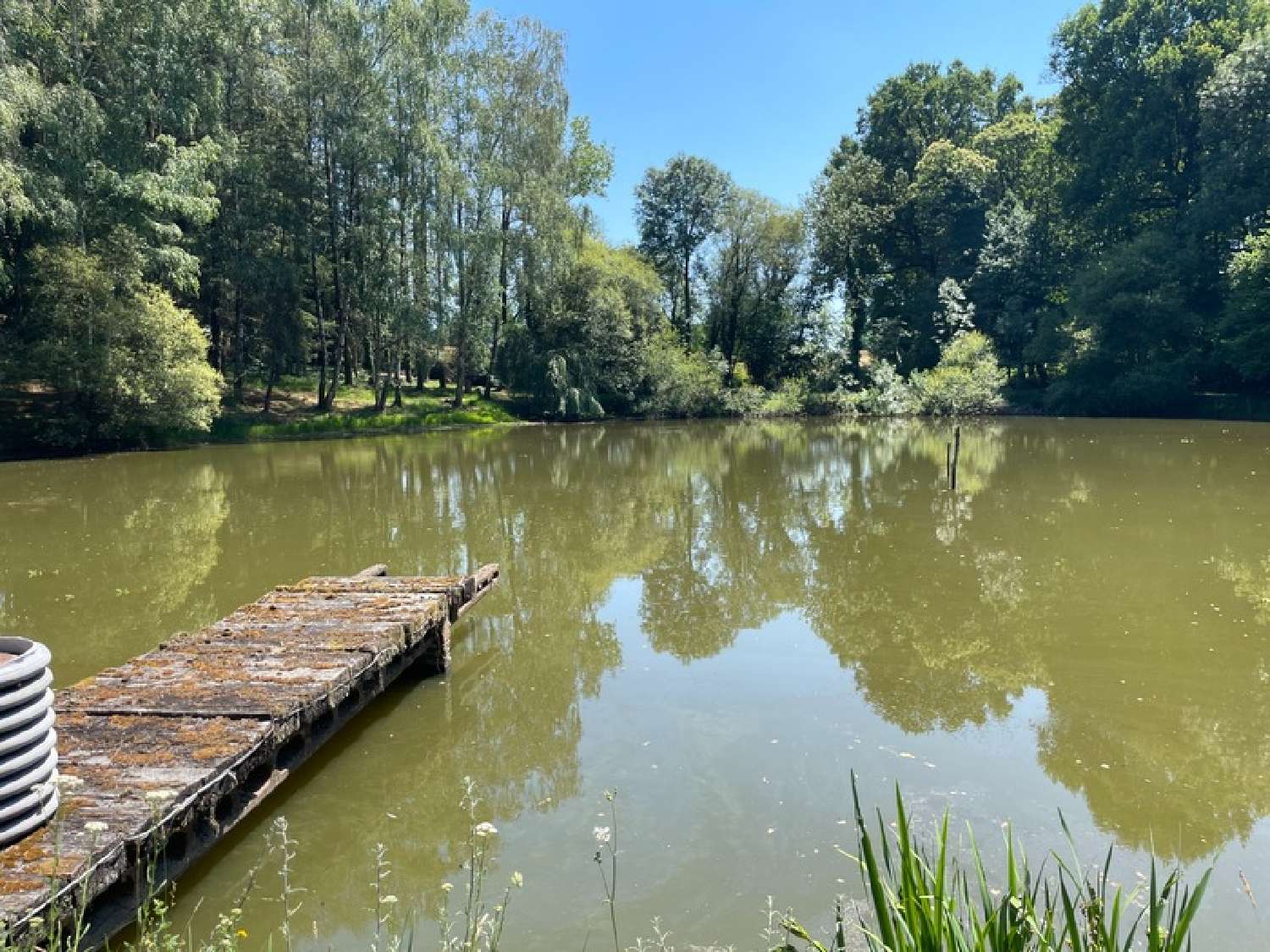 for sale terrain Nexon Haute-Vienne 1