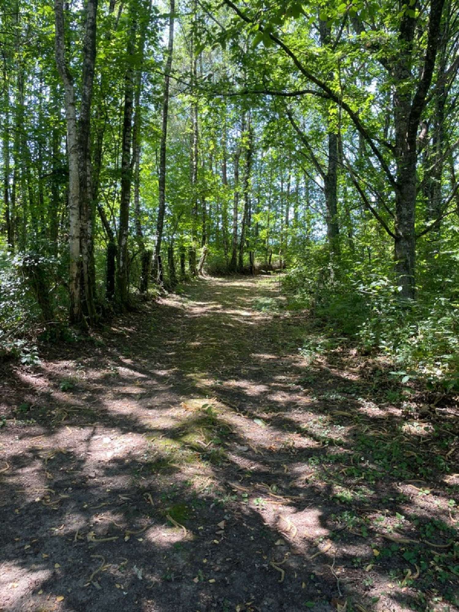 for sale terrain Nexon Haute-Vienne 5