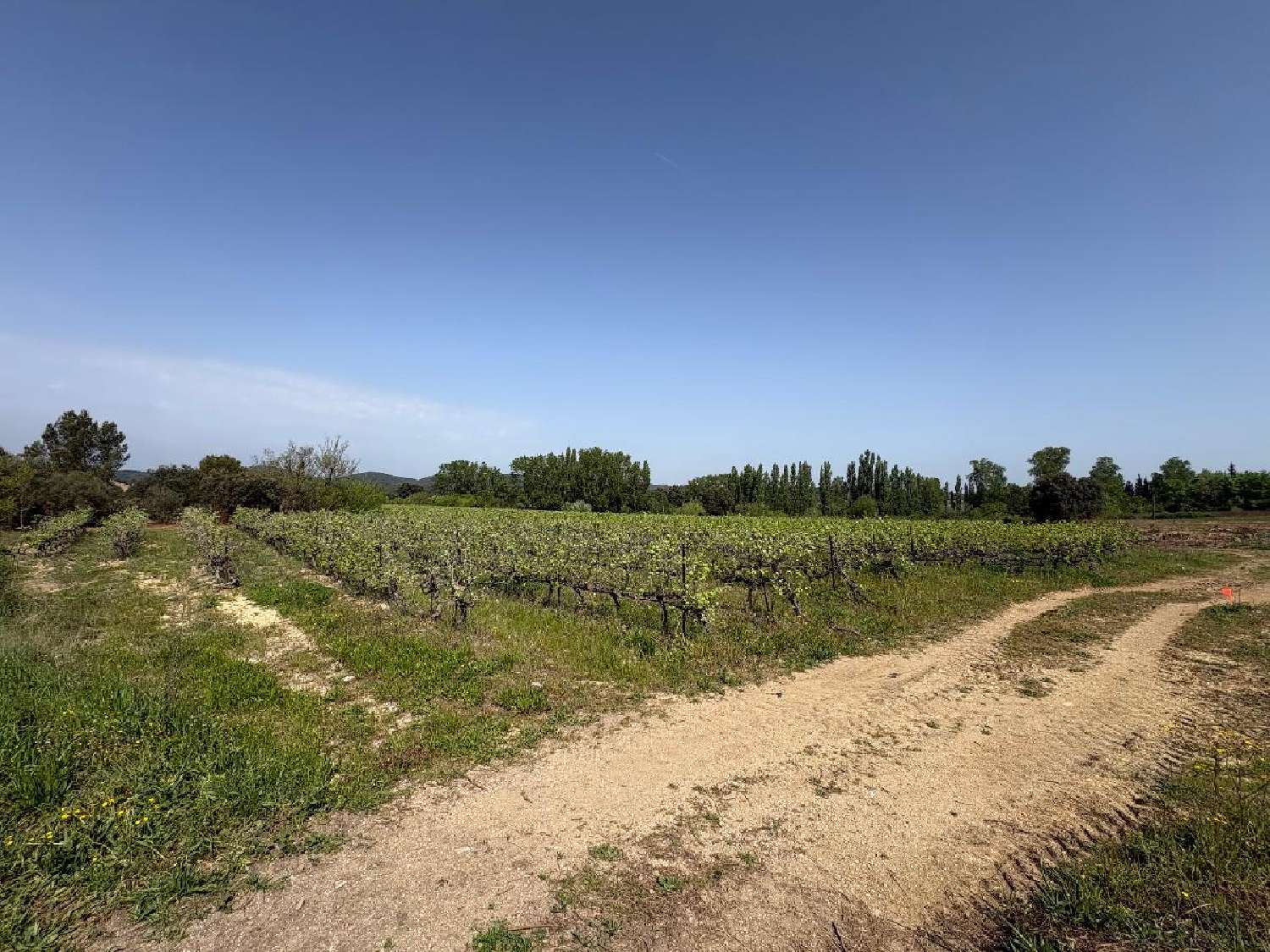 kaufen Grundstück Nîmes Gard 3