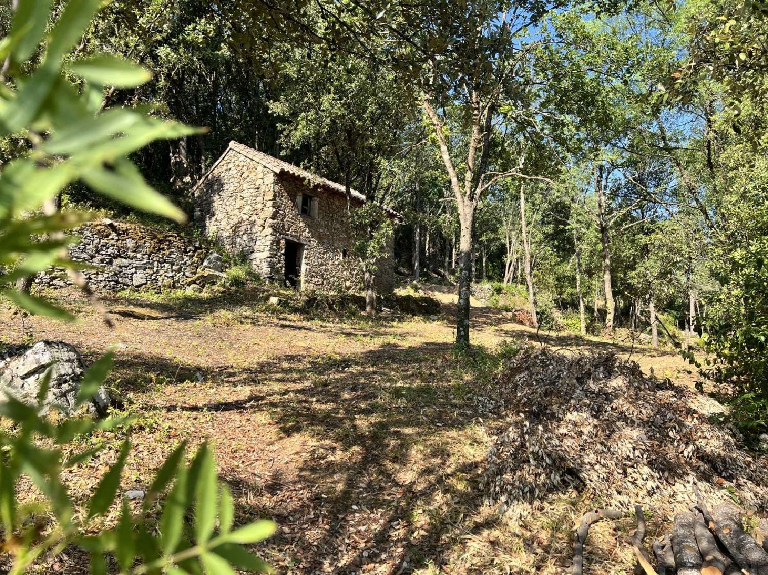  kaufen Grundstück Olargues Hérault 1