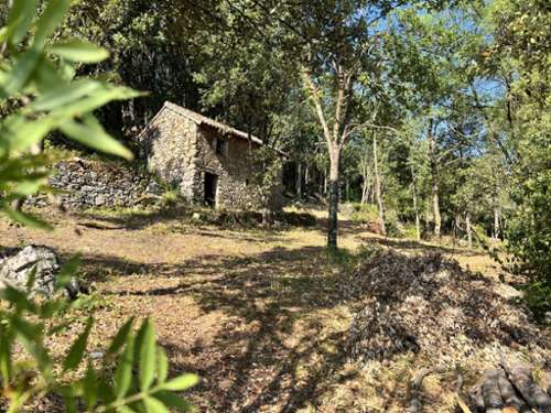 Olargues Hérault Grundstück Bild 7378804
