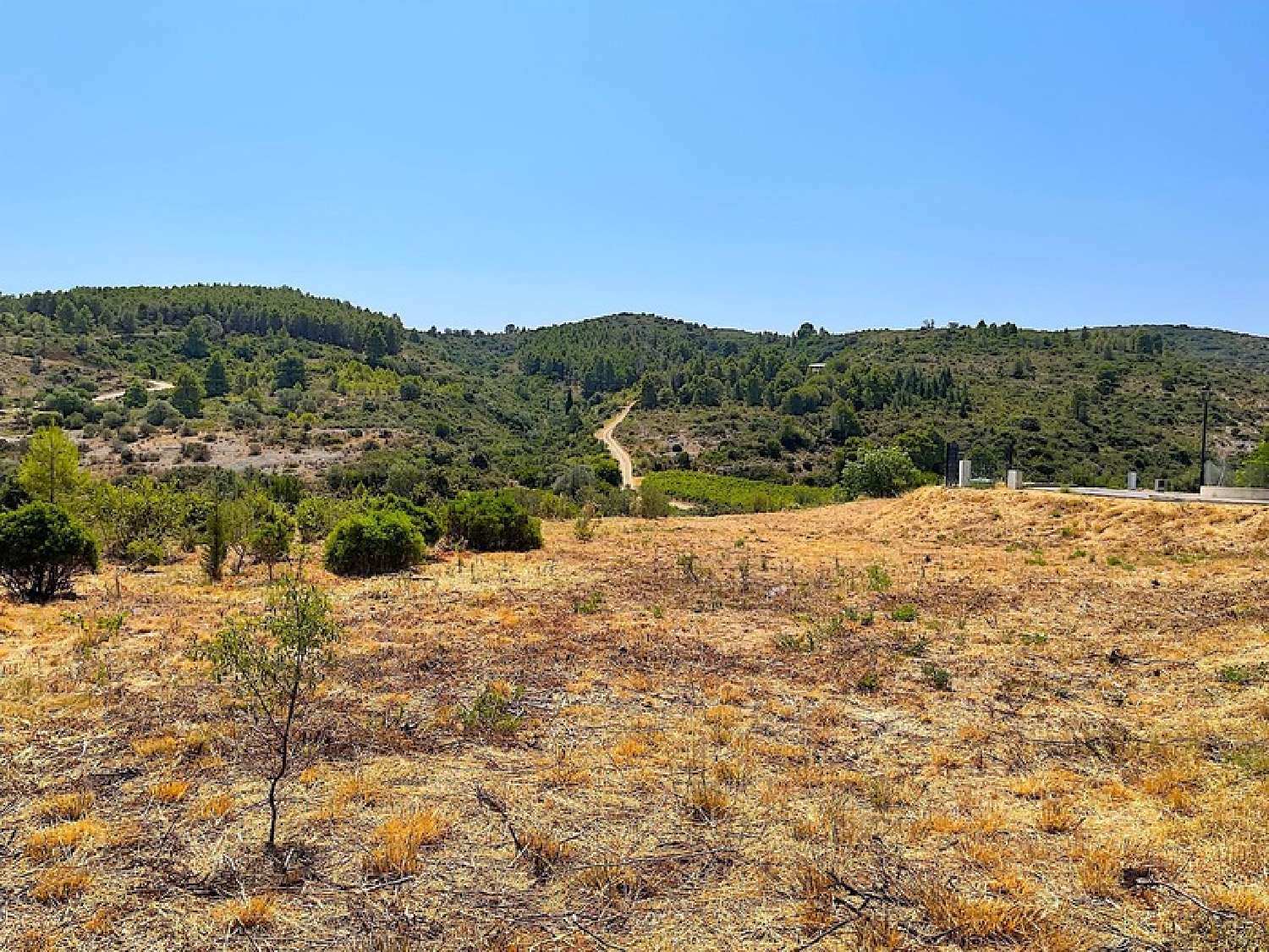  for sale terrain Paziols Aude 4