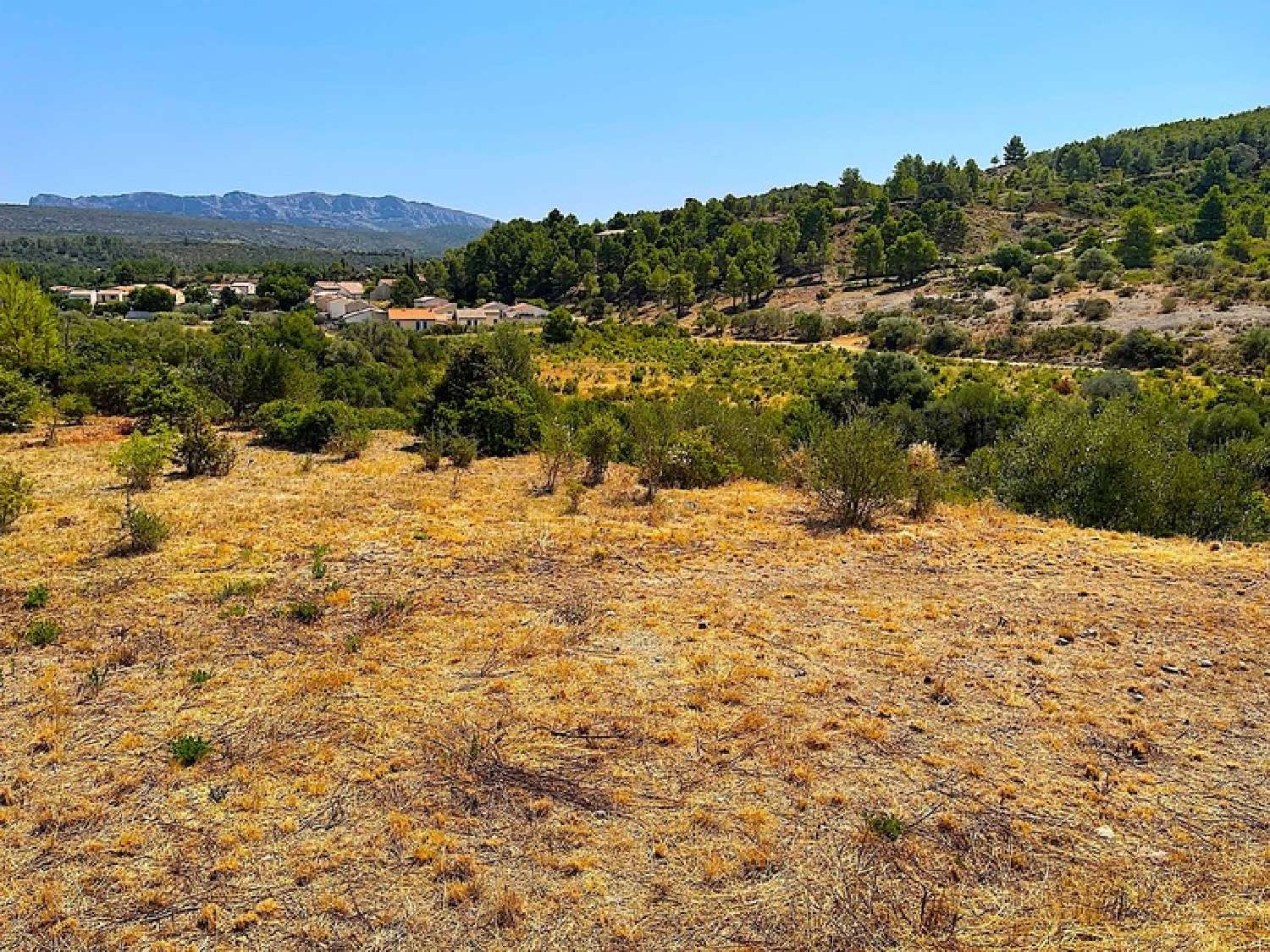  for sale terrain Paziols Aude 5