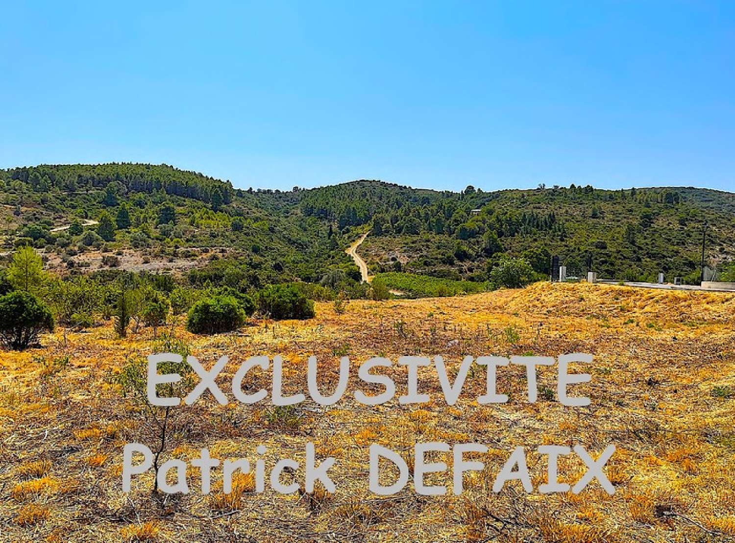  for sale terrain Paziols Aude 6