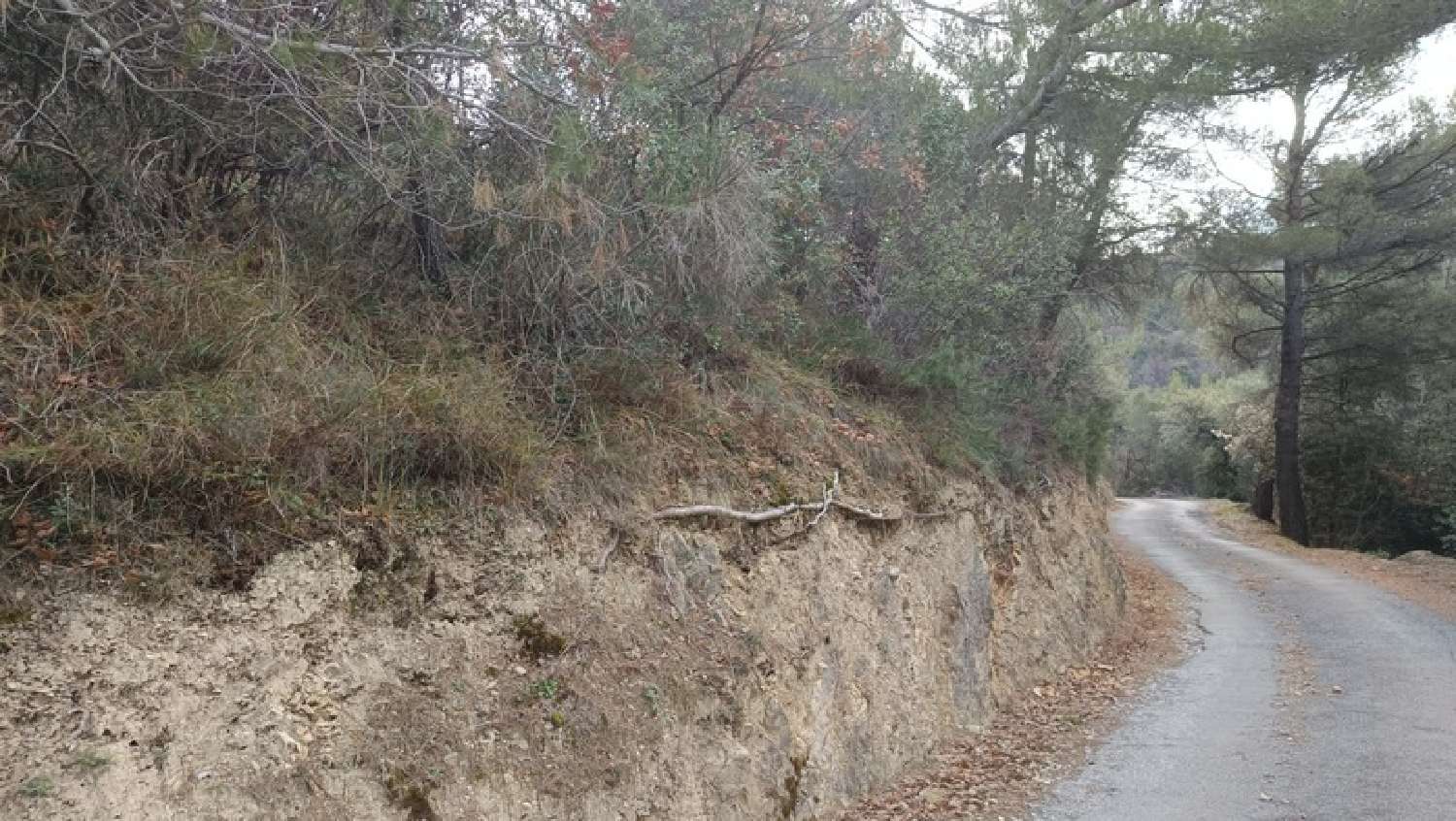 kaufen Grundstück Peille Alpes-Maritimes 1