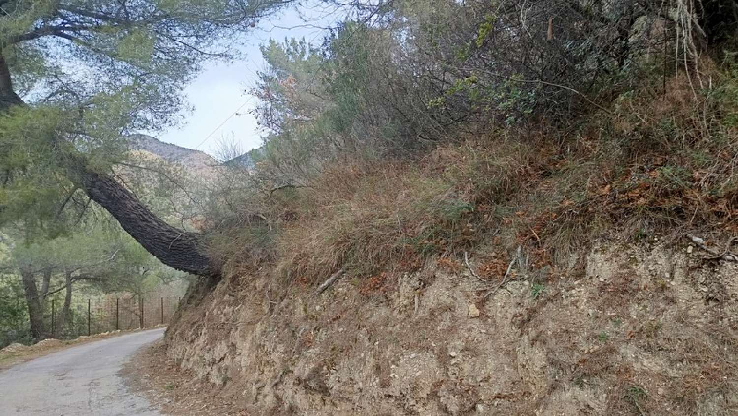 kaufen Grundstück Peille Alpes-Maritimes 6