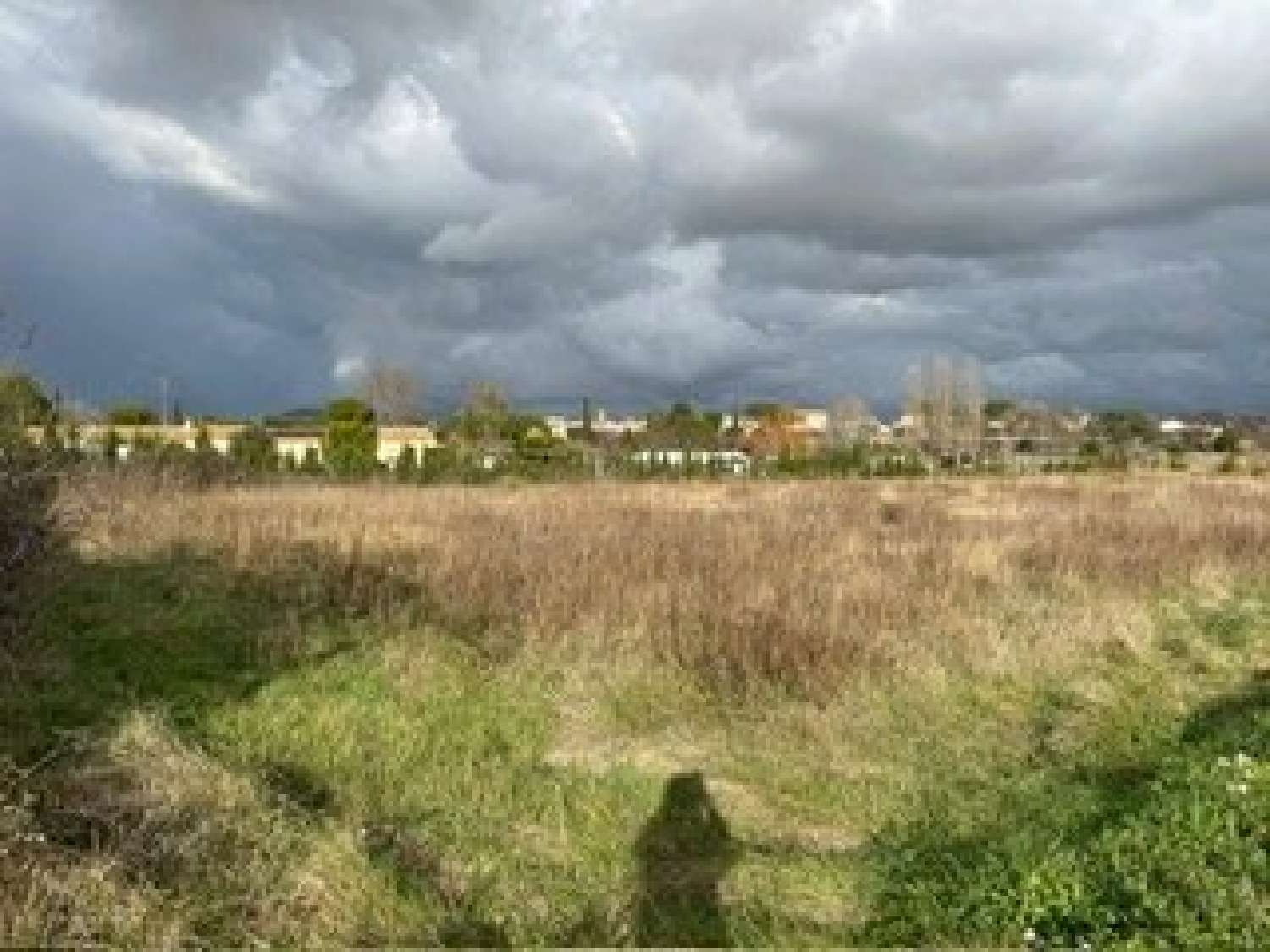 for sale terrain Pouzolles Hérault 7