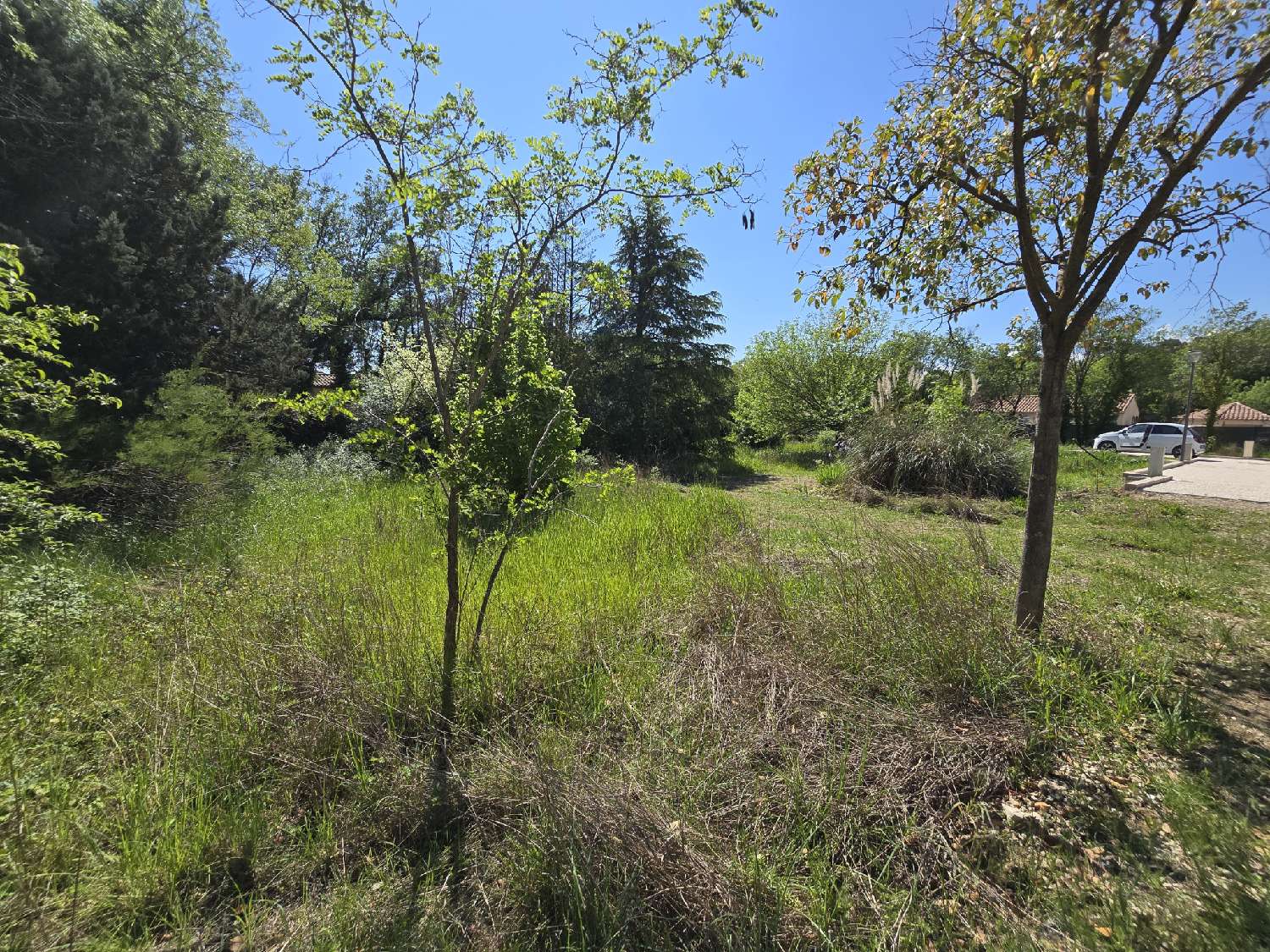 à vendre terrain Prades-le-Lez Hérault 3