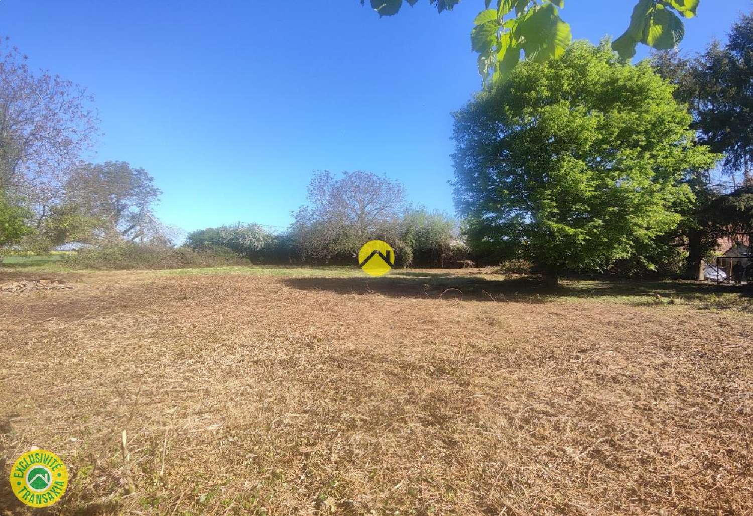  à vendre terrain Précy Cher 2