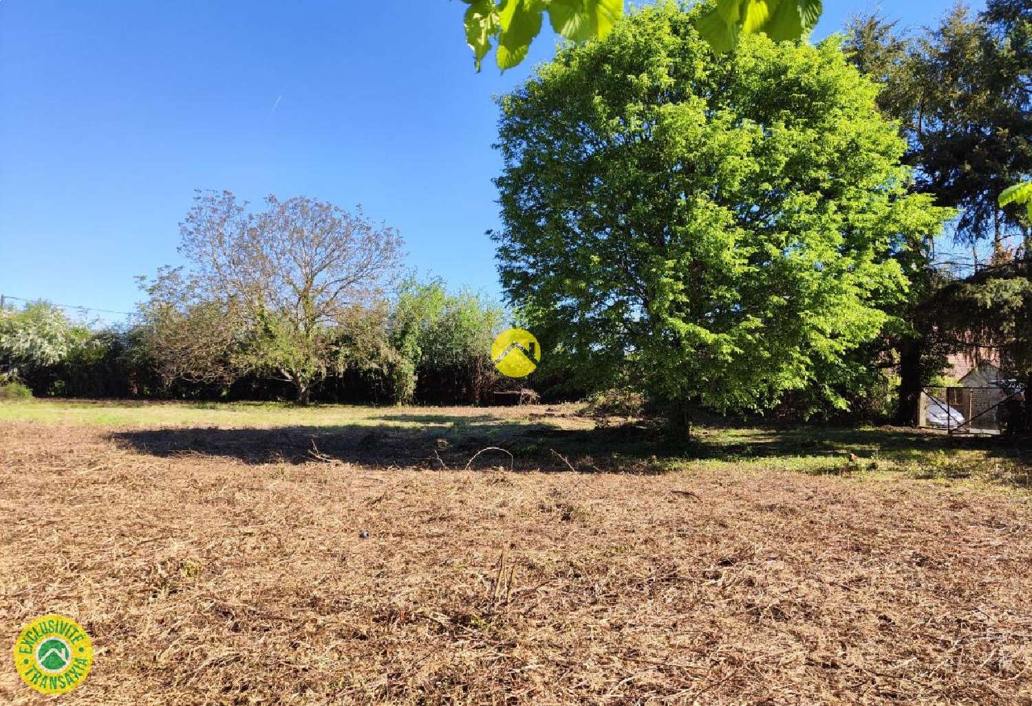  à vendre terrain Précy Cher 5