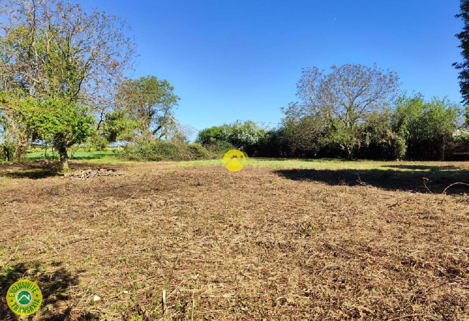  à vendre terrain Précy Cher 6