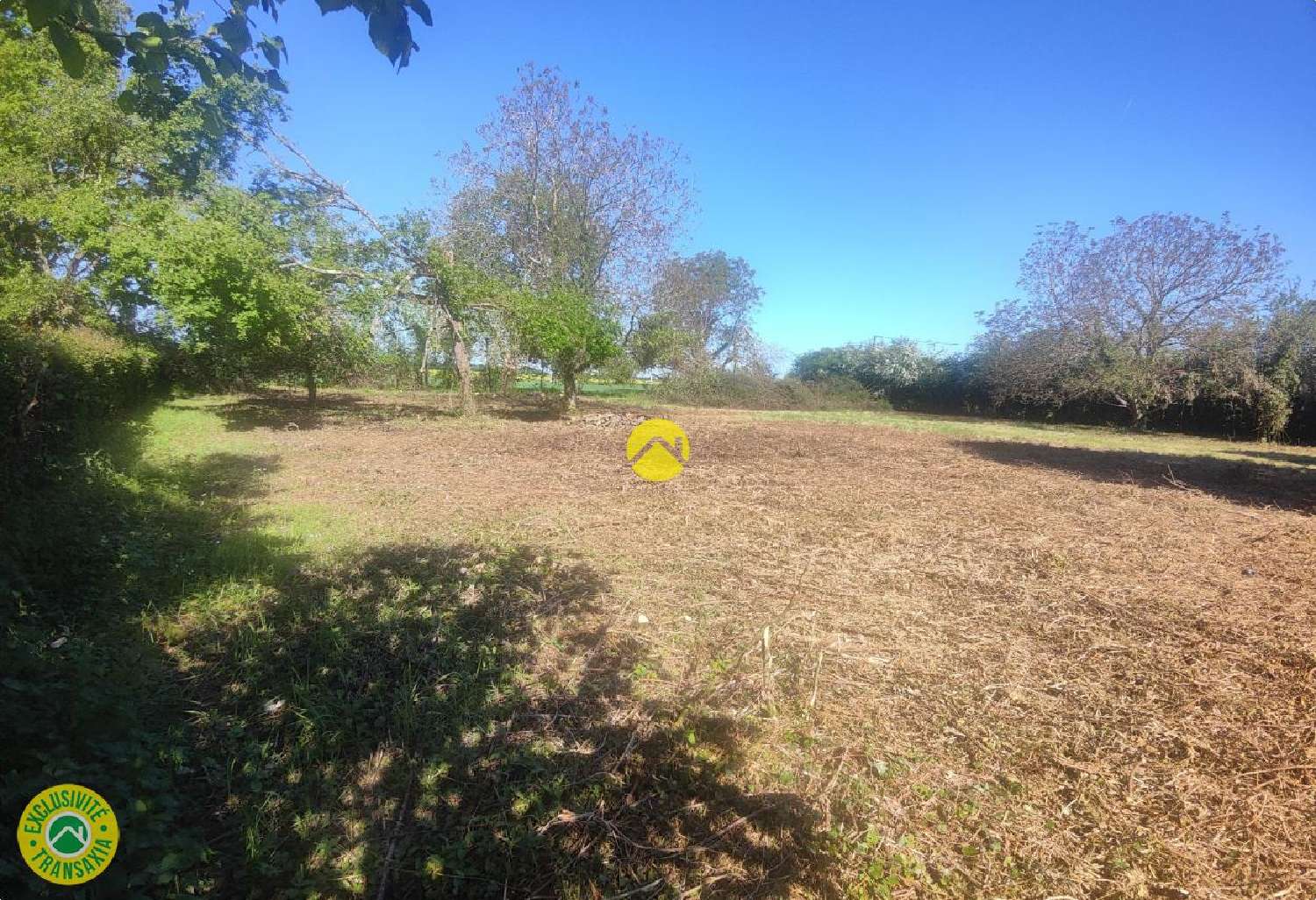  à vendre terrain Précy Cher 7