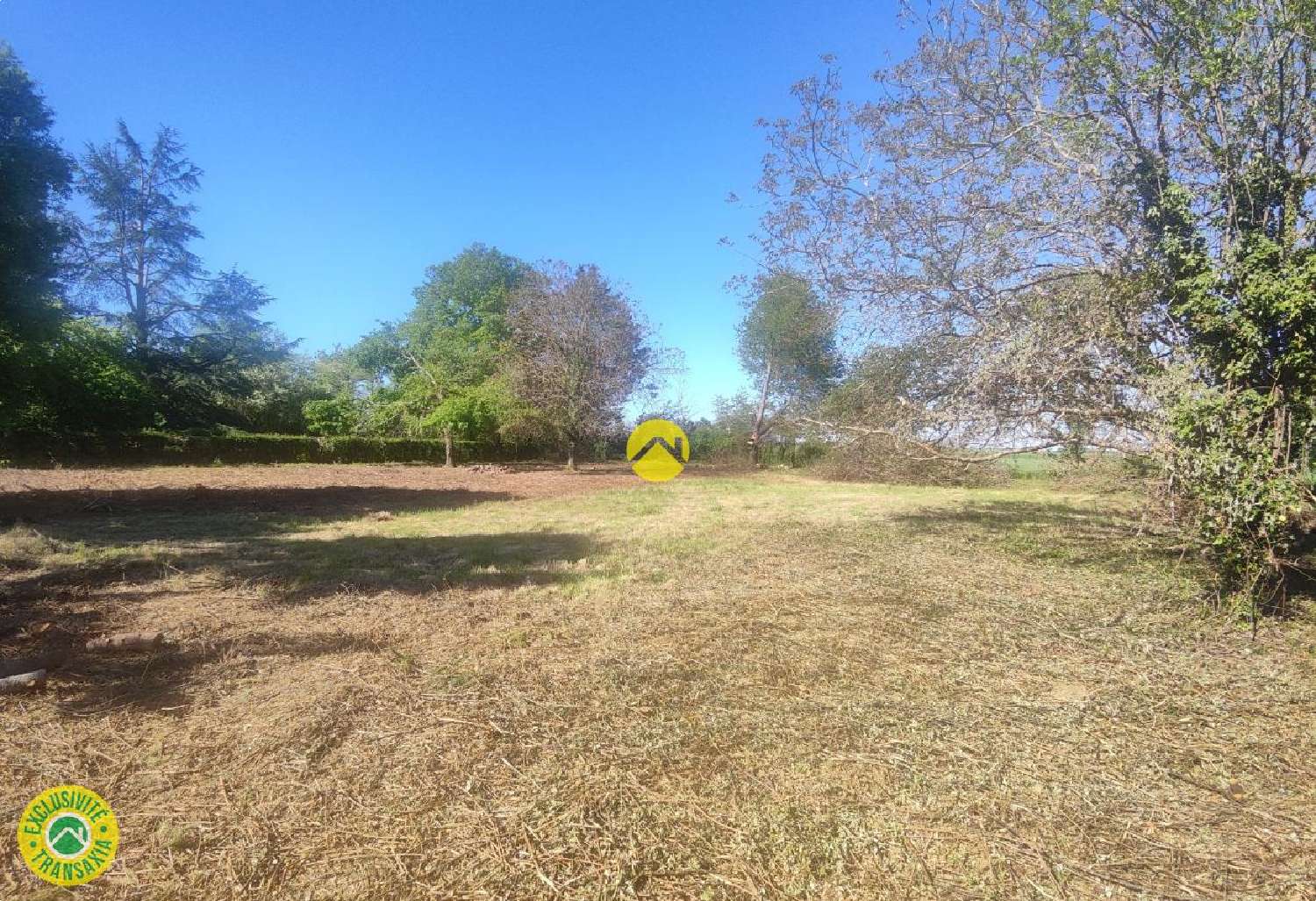  à vendre terrain Précy Cher 8