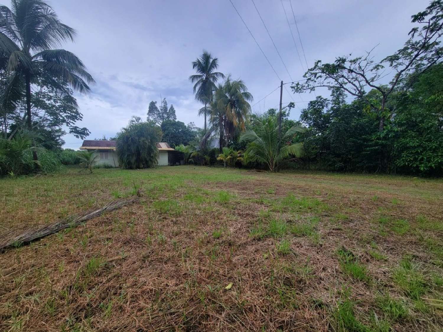 kaufen Grundstück Remire-Montjoly Guyane 2