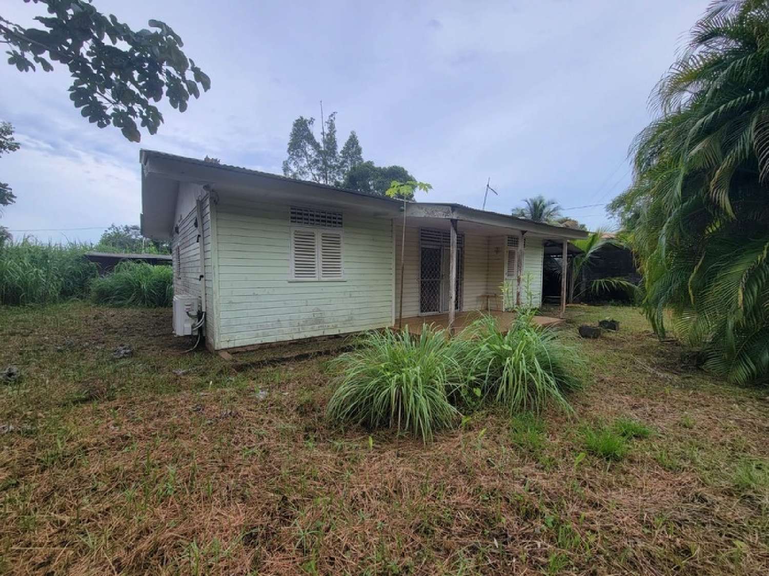 kaufen Grundstück Remire-Montjoly Guyane 3
