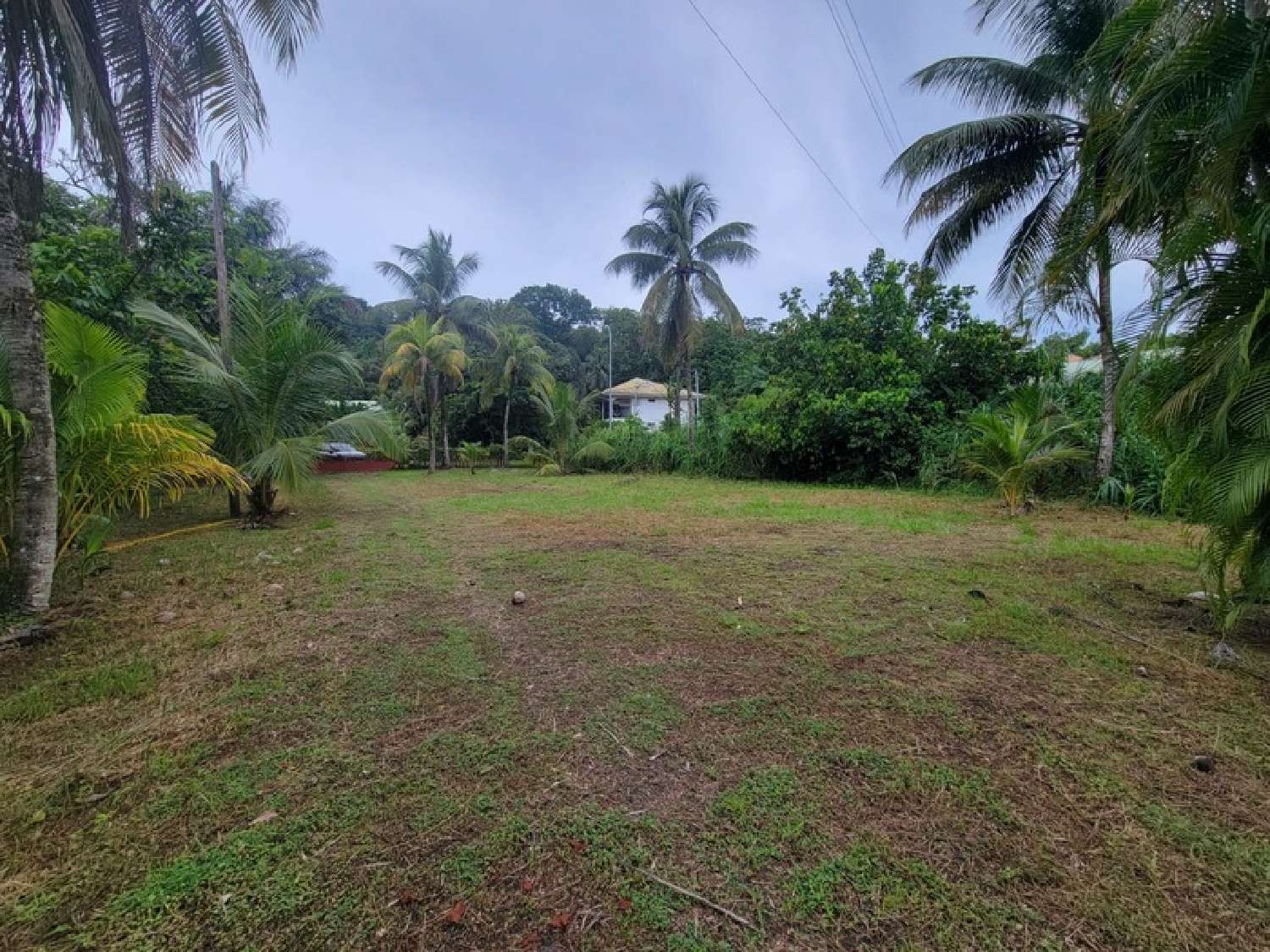 kaufen Grundstück Remire-Montjoly Guyane 5