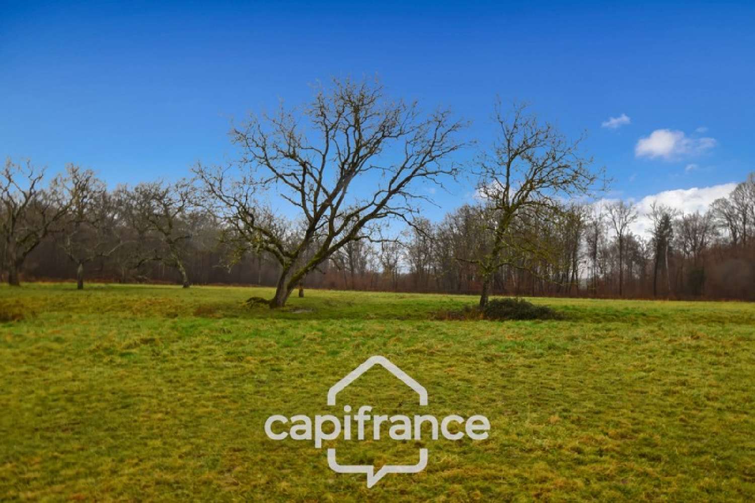  à vendre terrain Sagy Saône-et-Loire 6
