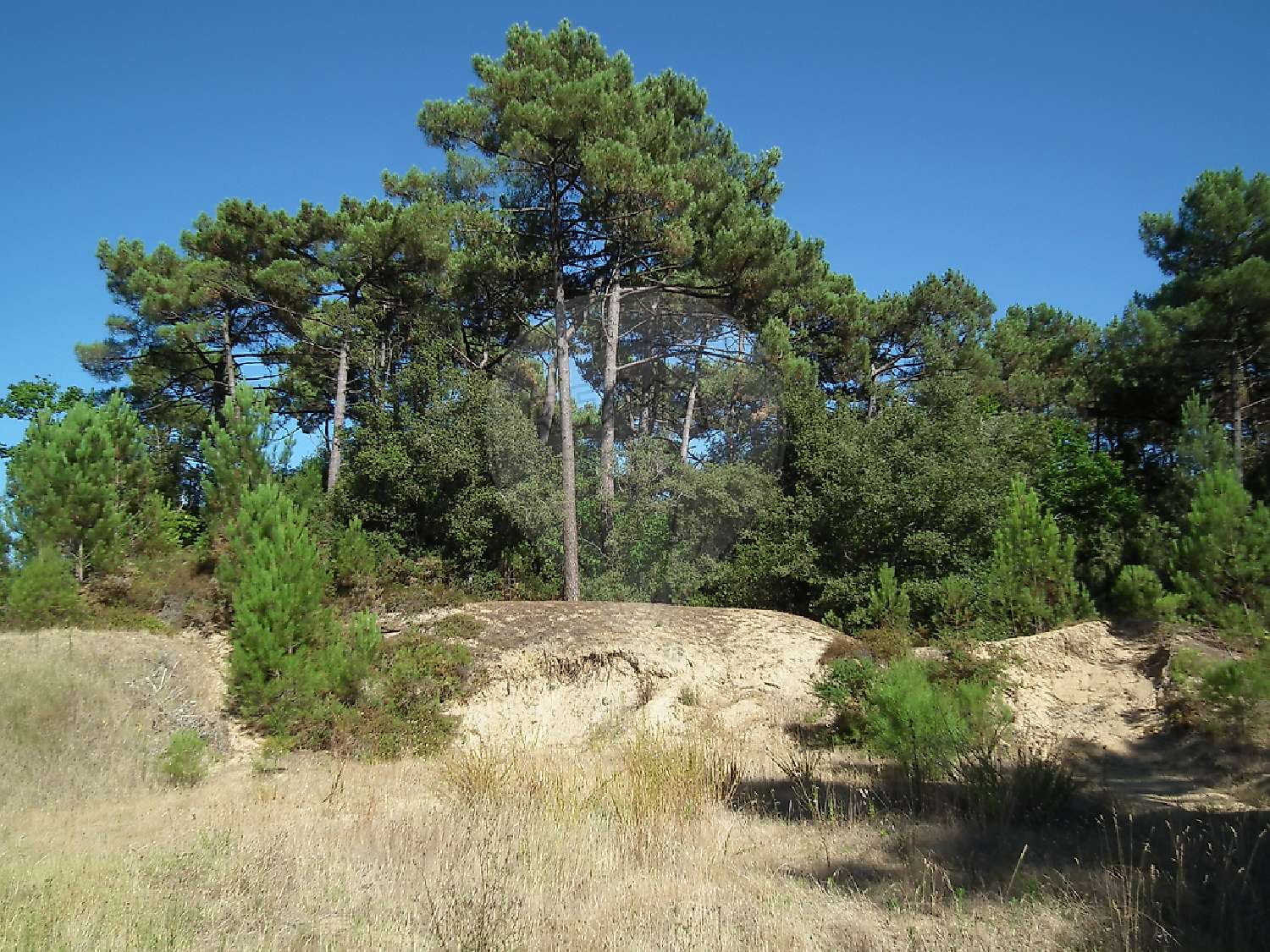 for sale terrain Saint-Augustin Charente-Maritime 2