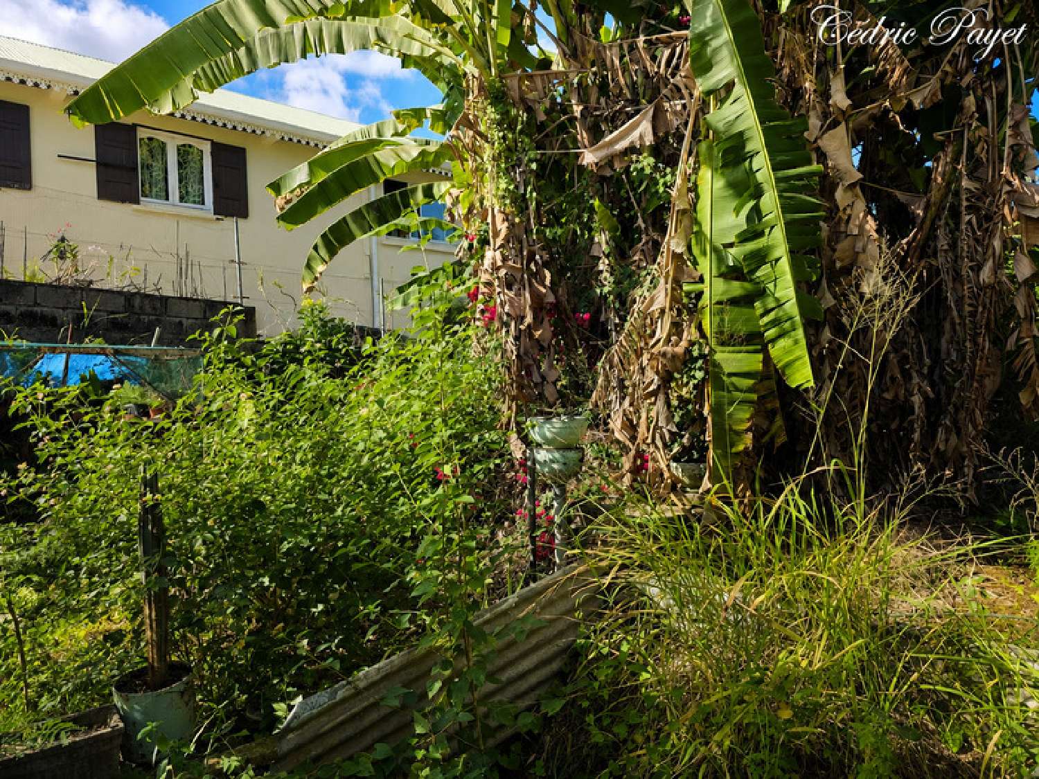  te koop terrein Saint-Louis La Réunion 1