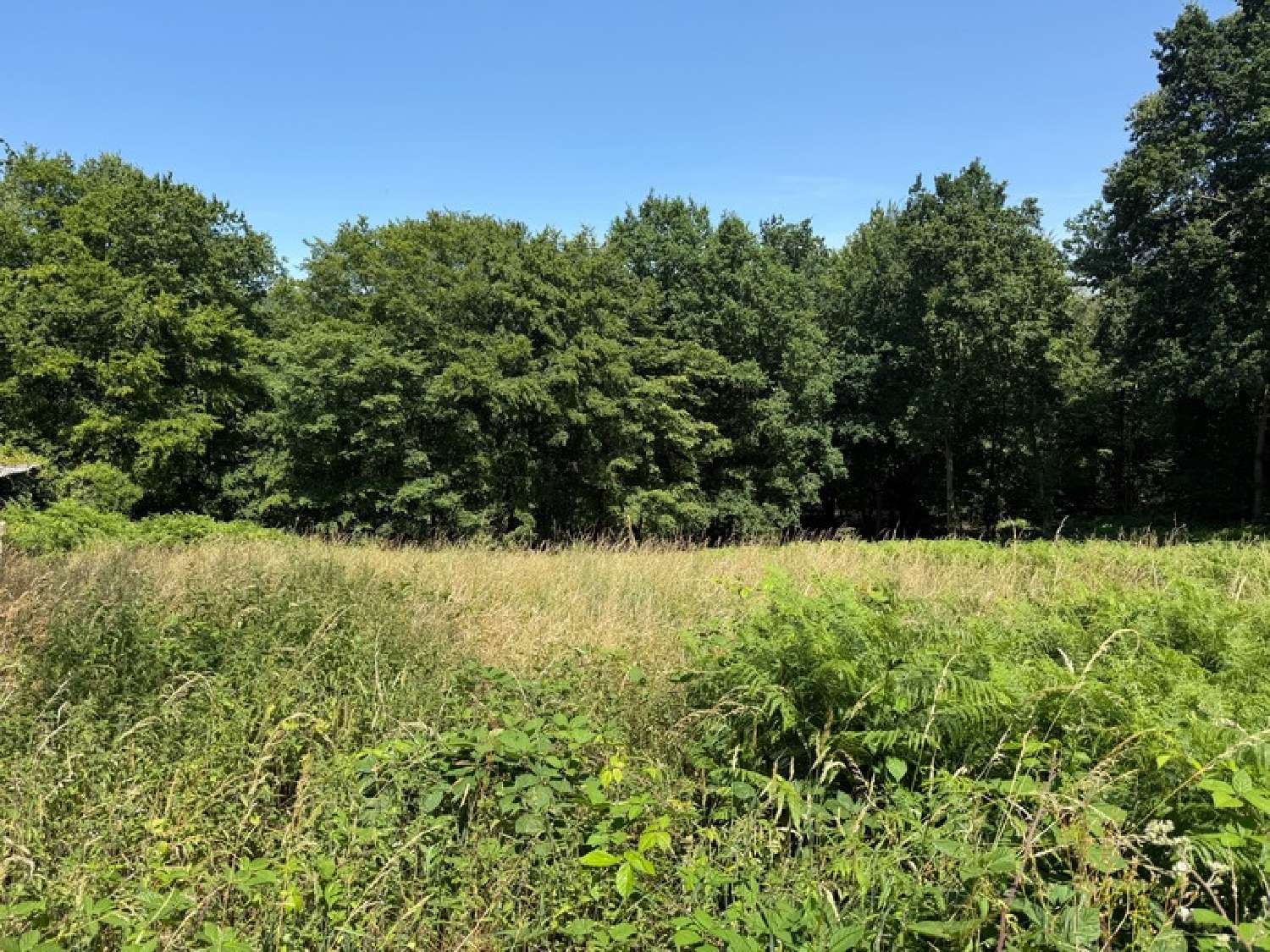 for sale terrain Saint-Martin-du-Vivier Seine-Maritime 3