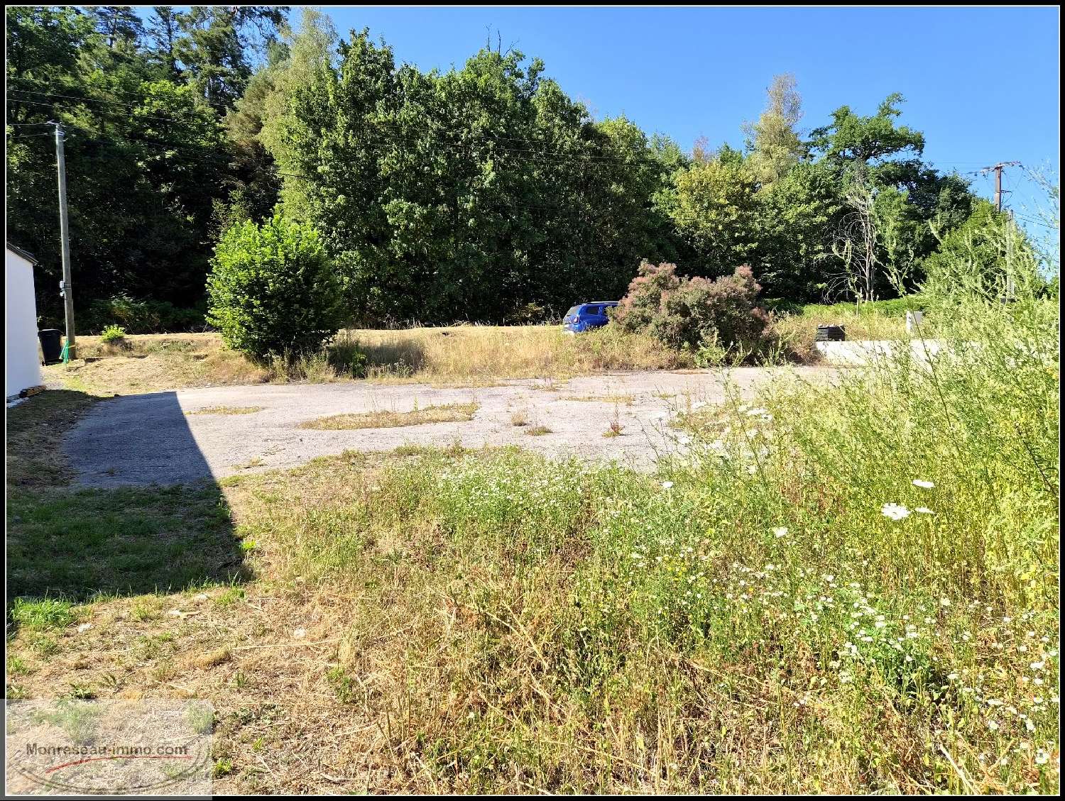 for sale terrain Saint-Nabord Vosges 1