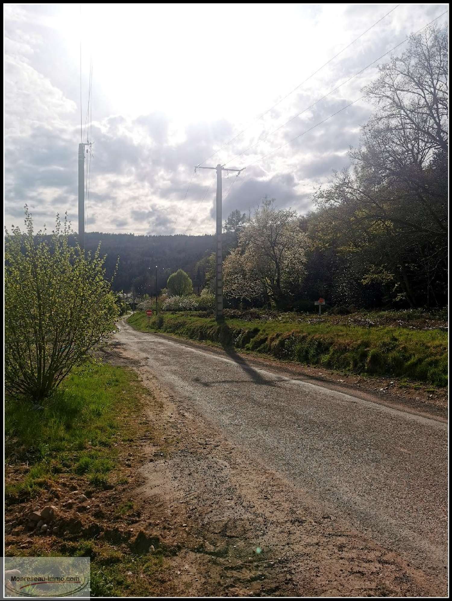 for sale terrain Saint-Nabord Vosges 6