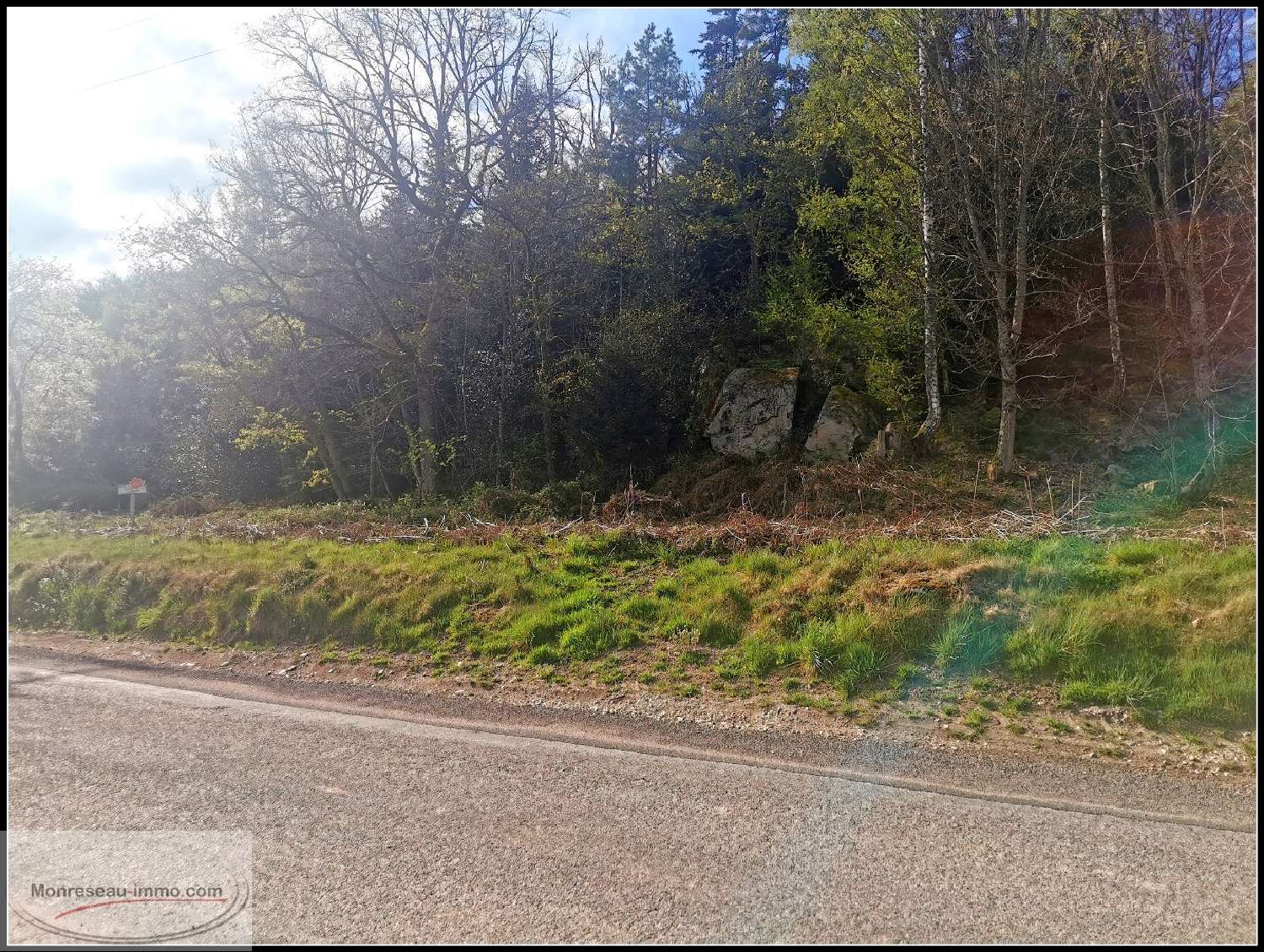 for sale terrain Saint-Nabord Vosges 8