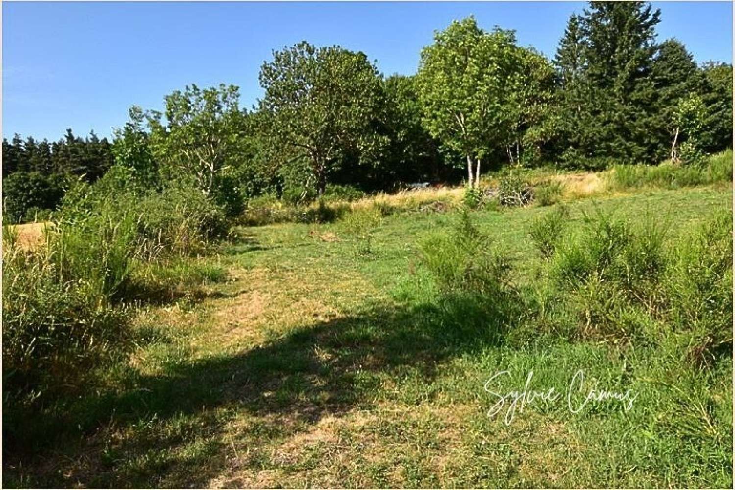 te koop terrein Saint-Pal-de-Mons Haute-Loire 1