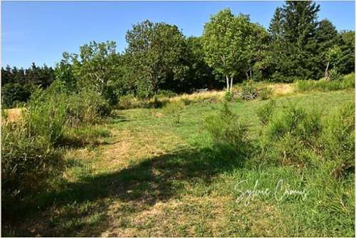 Saint-Pal-de-Mons Haute-Loire terrein foto 7370755