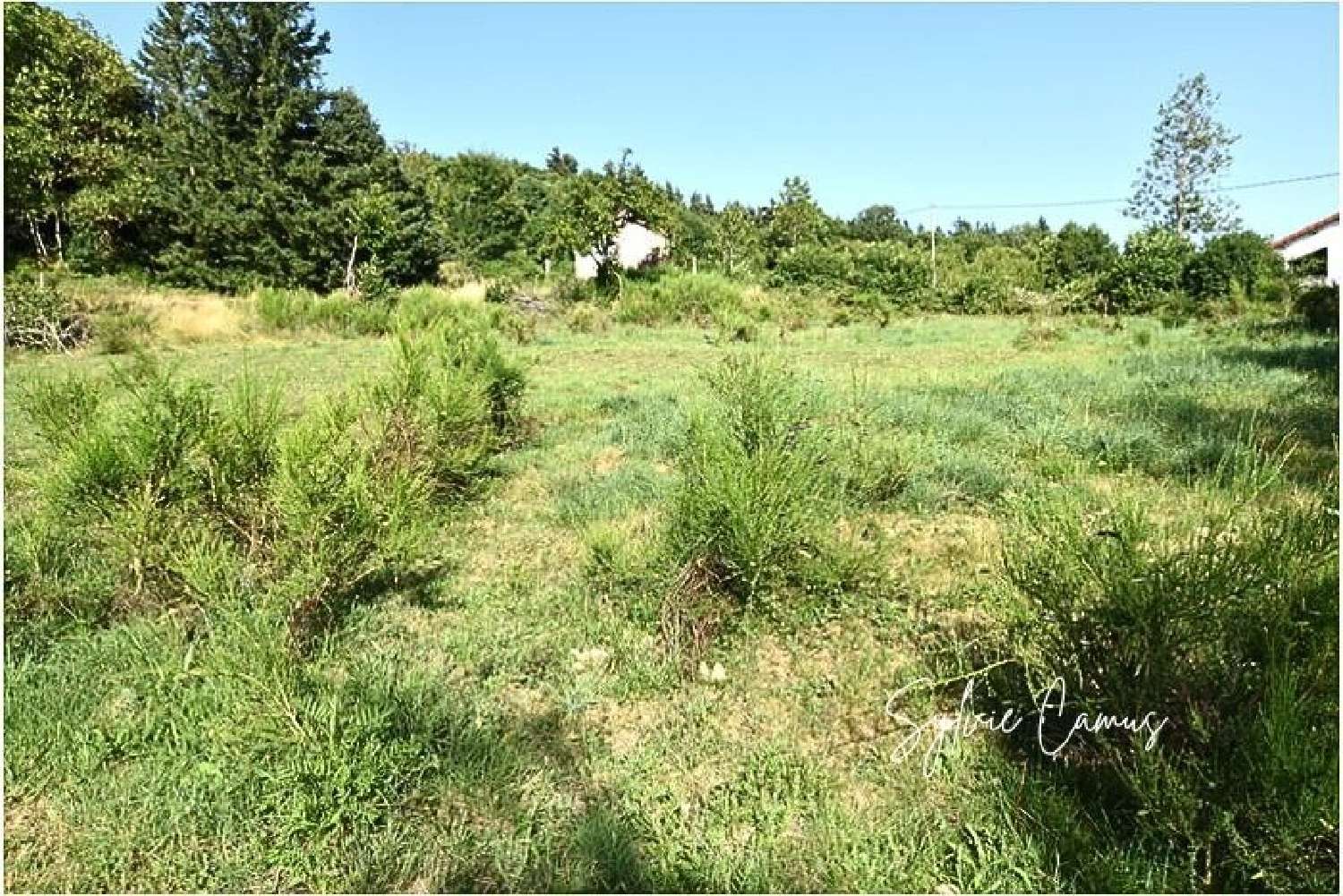 te koop terrein Saint-Pal-de-Mons Haute-Loire 2
