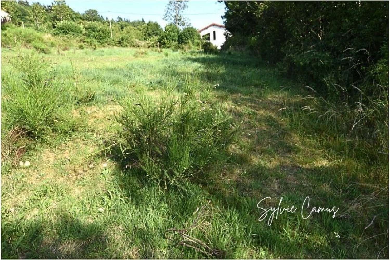te koop terrein Saint-Pal-de-Mons Haute-Loire 3