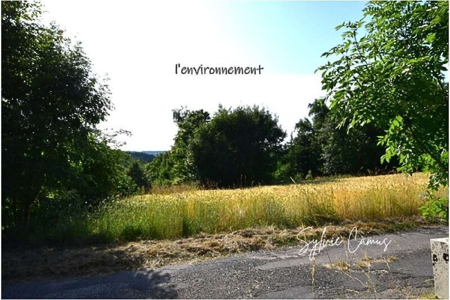 te koop terrein Saint-Pal-de-Mons Haute-Loire 5