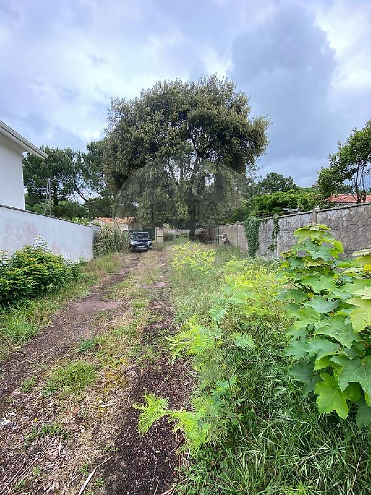  à vendre terrain Saint-Palais-sur-Mer Charente-Maritime 5