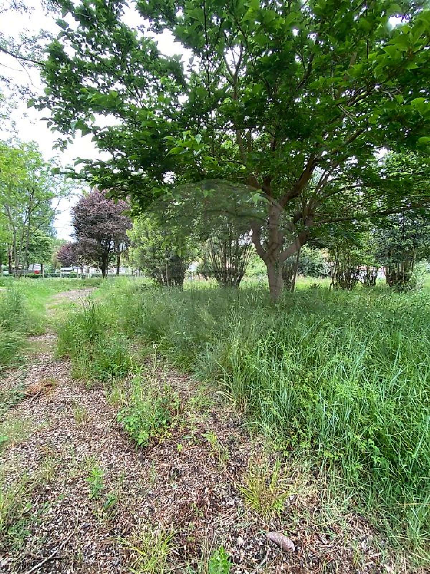 for sale terrain Saint-Palais-sur-Mer Charente-Maritime 1