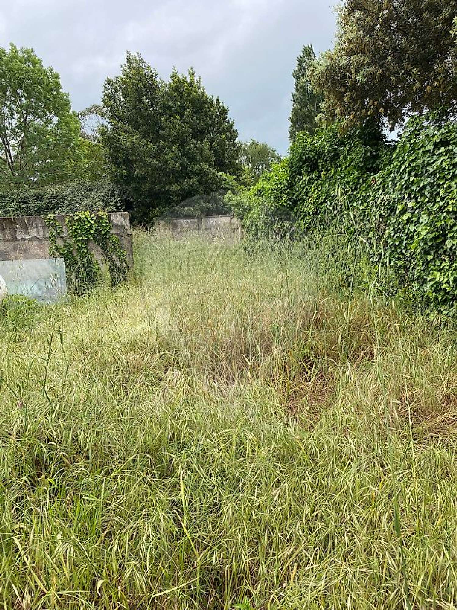 for sale terrain Saint-Palais-sur-Mer Charente-Maritime 7